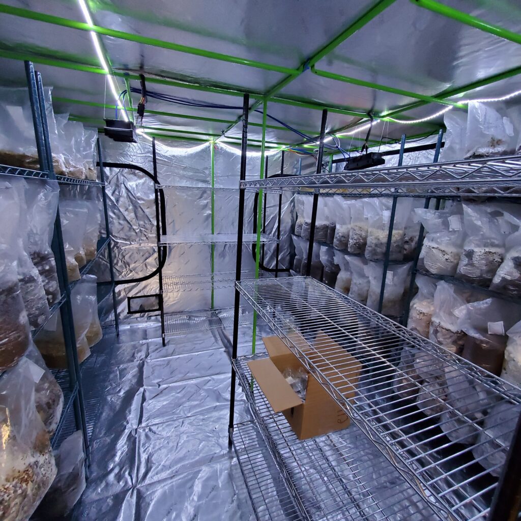 Desert Moon Farms Las Vegas Grown Gourmet Mushrooms!